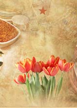 Thanksgiving Flowers